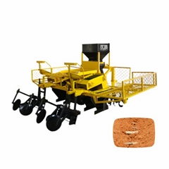 Double Bud Sugarcane Planter High Efficiency Sugarcane Seeder Transplanters