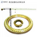 Turret Bearing of Tower Crane Engineering Machinery Joint Bearing AOXUAN Slewing