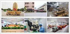 Dongguan Zuoqi Electronic Co., Ltd