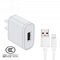 Iphone wall charger