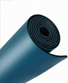 Eco-Friendly TPE Pilates Exercise Yoga Mat with Carrying Case 6