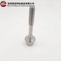 GR5 titanium bolts, titanium standard parts 5