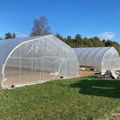 Agriculture commercial tunnel plastic film greenhouse for Vegetable 3