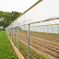 Cheap Tomato Agricultural Plastic Film Low Cost Tunnel Greenhouse film 4