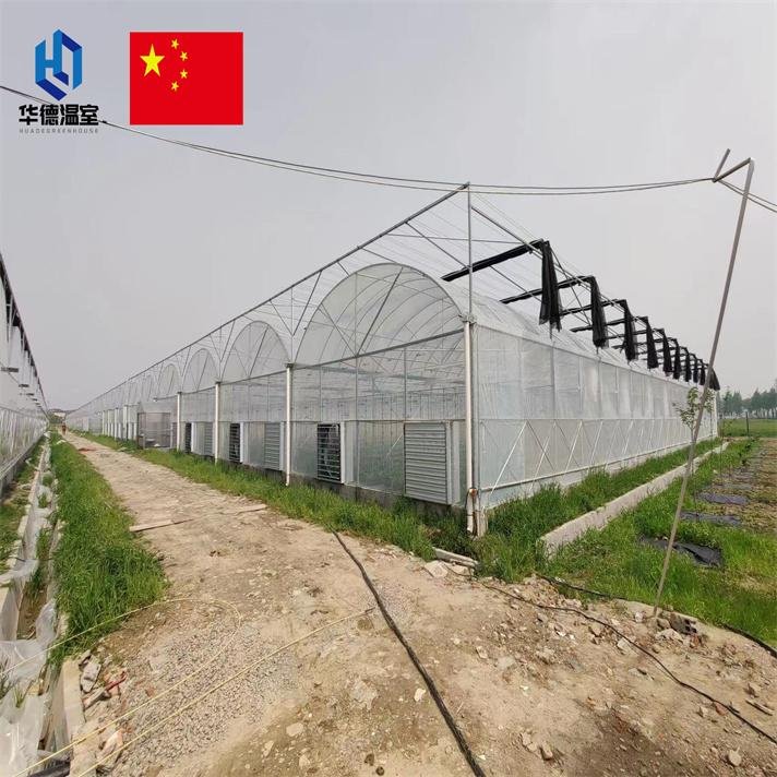 Multi-span agricultural film greenhouse