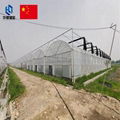 Multi-span agricultural film greenhouse