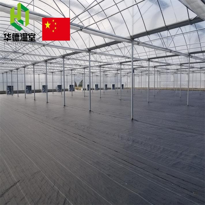 Multi-span agricultural film greenhouse 2