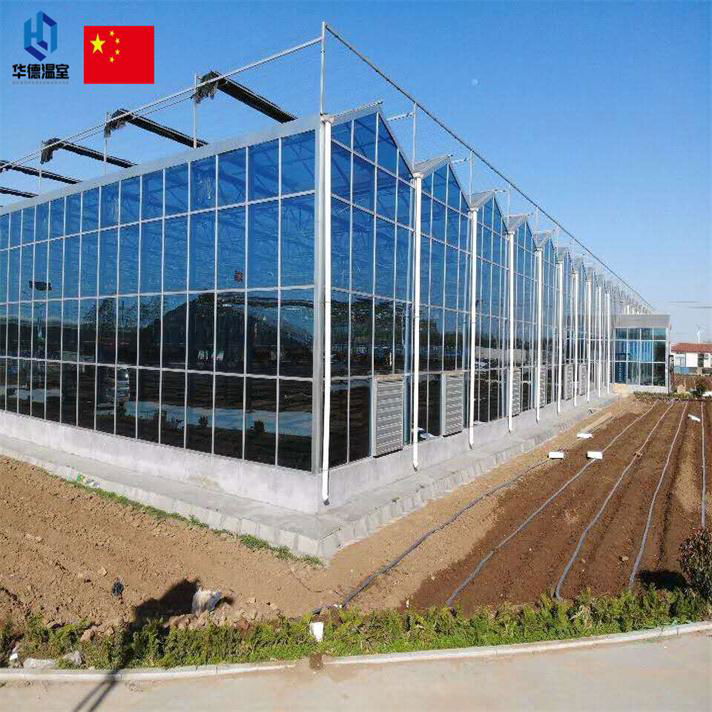 Glass greenhouse 2