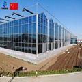 Glass greenhouse