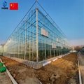 Glass greenhouse 3