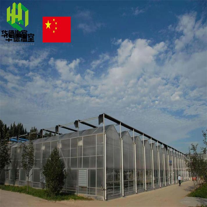 Polycarbonate greenhouse