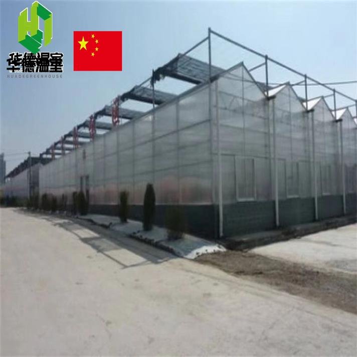 Polycarbonate greenhouse 2
