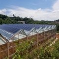 Photovoltaic greenhouse 1