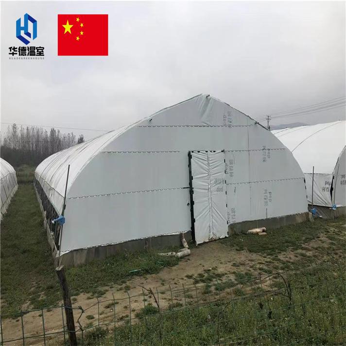 阶段性遮黑温室药用温室 2