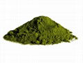 Organic Chlorella Powder 1