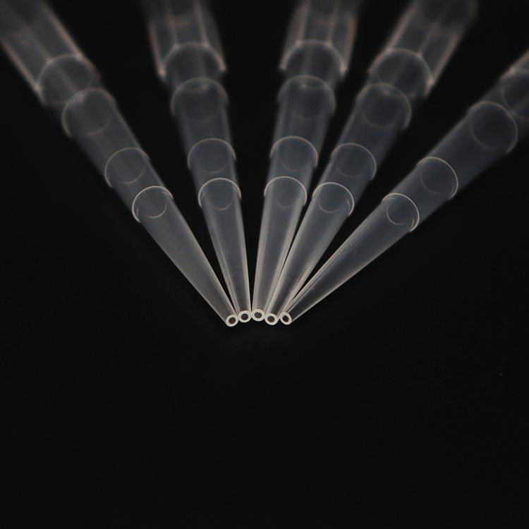 1000ul Graduated Filter Pipette Tips 4