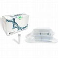 RNA/DNA Purification Kit (Magnetic Bead) 1