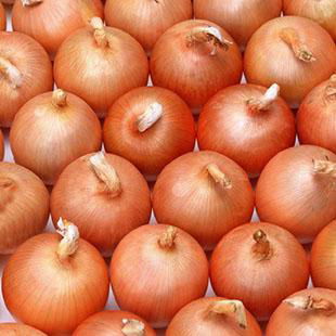 Fresh yellow  white  red onion 