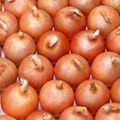 Fresh yellow  white  red onion 