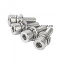 customized stainless steel screws fasteners 