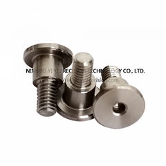 non-standard high precision hardware parts swiss turning parts