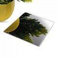 304/316/316L 8K Mirror Finish 2.0mm 4.0mm Stainless Steel Sheets Metal Plate 3