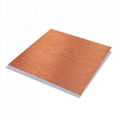 201 304 Titanium Gold Hairline Colored  Stainless Steel Sheet