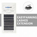 Easy Fan Rapid Blooming Eyelash