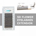 5D Flowering Lash Trays New Products Lash Extension Supplies