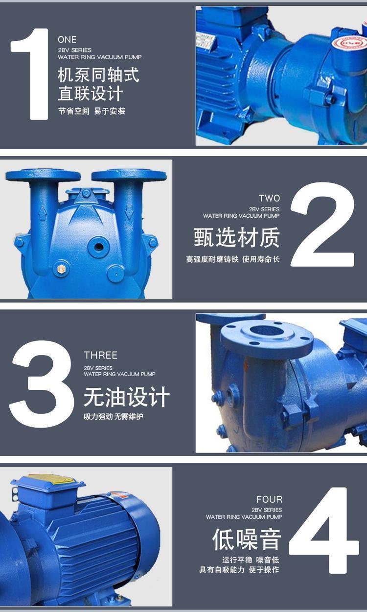 惠东2BV水环式真空泵 水环一体式真空泵厂家直销价格 3