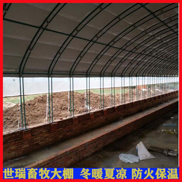 建設新式牛棚  養牛大棚設計施工 牛舍大棚安裝廠家