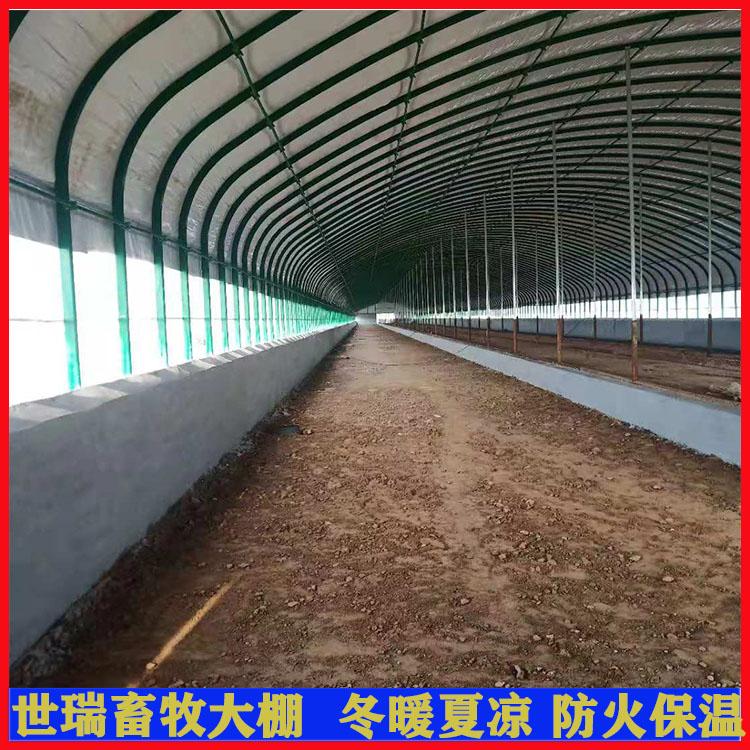 建設新式牛棚  養牛大棚設計施工 牛舍大棚安裝廠家 3