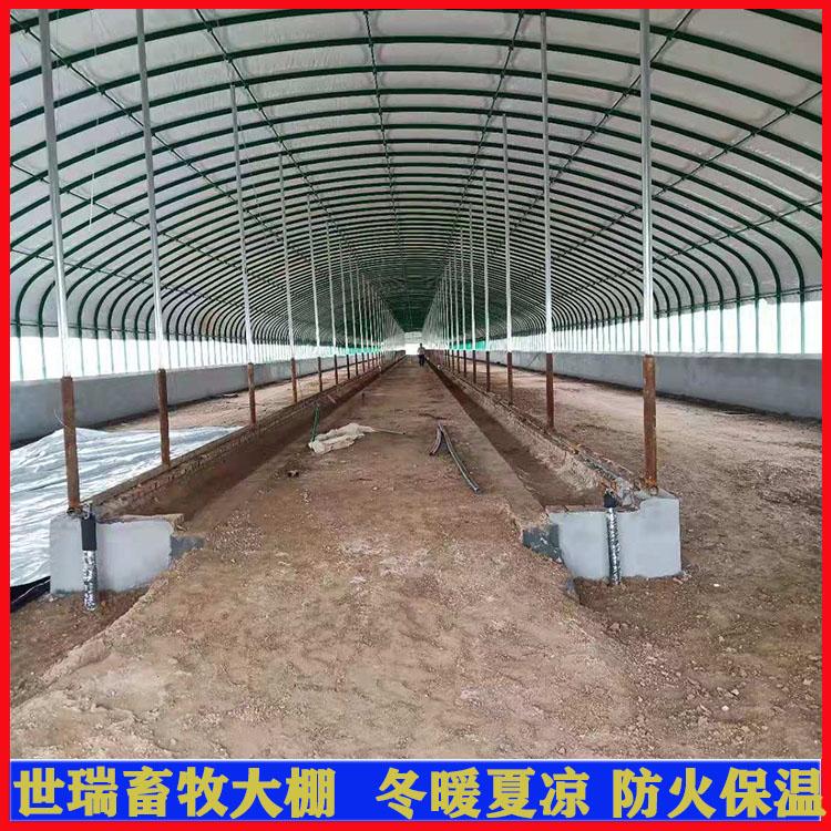 建設新式牛棚  養牛大棚設計施工 牛舍大棚安裝廠家 4