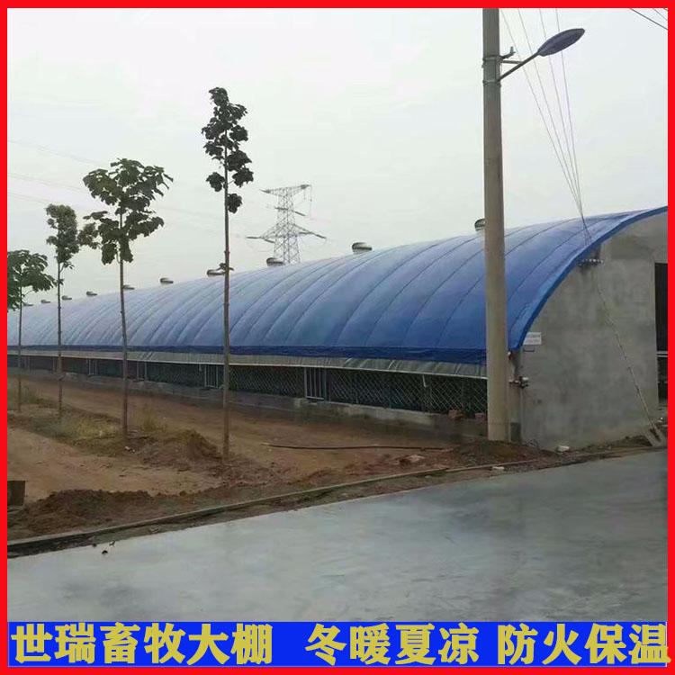 新式養羊大棚建設 山羊養殖大棚搭建 鋼架羊舍大棚 4