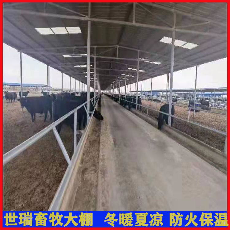 養牛舍大棚搭建 養牛大棚施工規劃 肉牛養殖大棚安裝 3