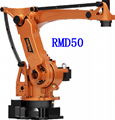 GSK RB08 robot application, handle cover insert loading and unloading 5