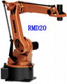 GSK RB08 robot application, handle cover insert loading and unloading 6