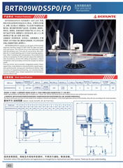 BRTV09WDS5P0/F0 五轴伺服机械手