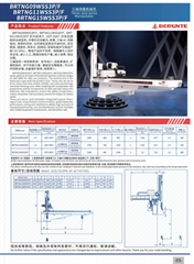 BRTNN15WSS3P/BRTNG15WSS3P Three axis servo manipulator