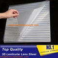 Ultra thin 0.25mm 160 lpi lenticular