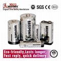 Baseponite C Batteries, Max C Cell Battery Premium Alkaline, 8 Count