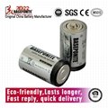 Baseponite D LR20 Batteries, D Cell
