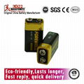 Forewell Long-Lasting 6lr61 9volt Alkaline Power Batteries (8 Pack)
