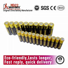 FOREWELL  AA, LR6, AM3 Alkaline Batteries, High Capacity Double A Batterie