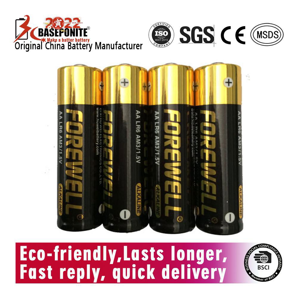 FOREWELL  AA, LR6, AM3 Alkaline Batteries, High Capacity Double A Batterie 2