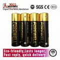 FOREWELL  AA, LR6, AM3 Alkaline Batteries, High Capacity Double A Batterie