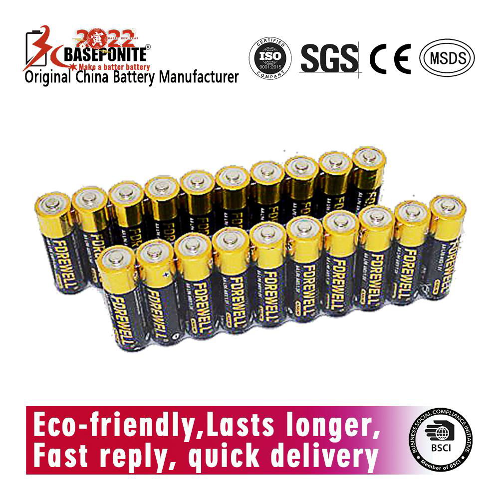 FOREWELL  AA, LR6, AM3 Alkaline Batteries, High Capacity Double A Batterie 3