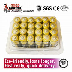 Forewell AAA Alkaline Battery Premium LR03/AAA 1.5 Volts 24PCS Paper Pack