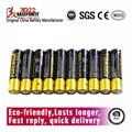 Forewell AAA Alkaline Battery Premium LR03/AAA 1.5 Volts 24PCS Paper Pack
