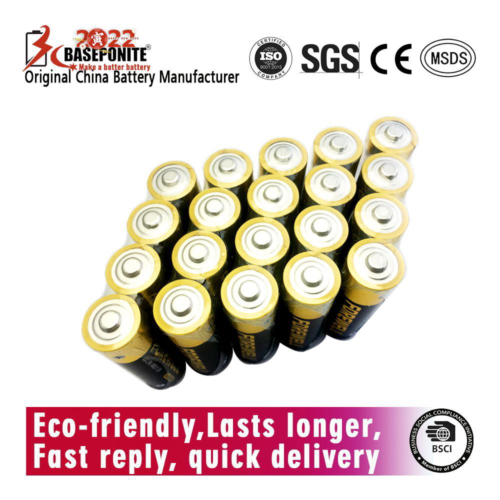 Forewell AAA Alkaline Battery Premium LR03/AAA 1.5 Volts 10PCS Paper Pack 3